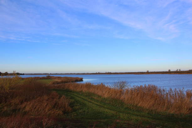 istock Landscape the groote wielen 831436828