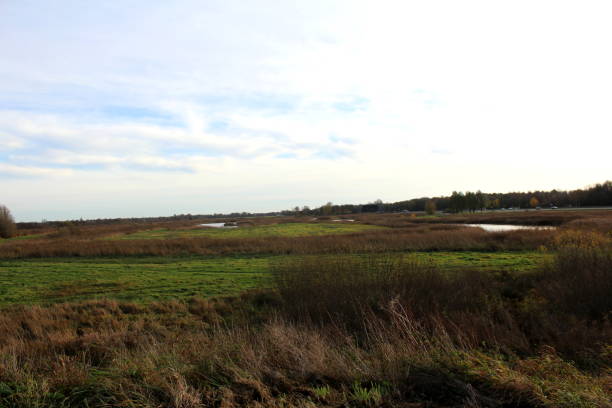 istock Landscape the groote wielen 831436848