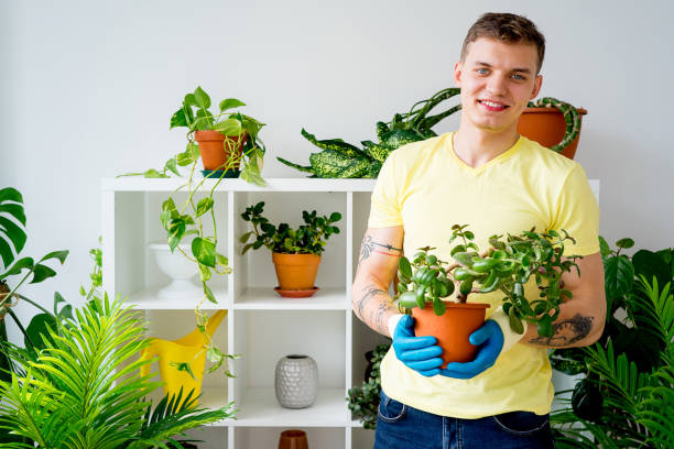 istock Guy gardening in a greenhouse 831440592