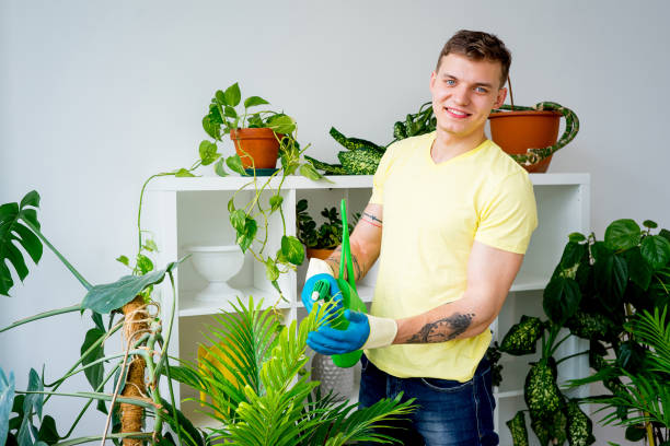 istock Guy gardening in a greenhouse 831440800