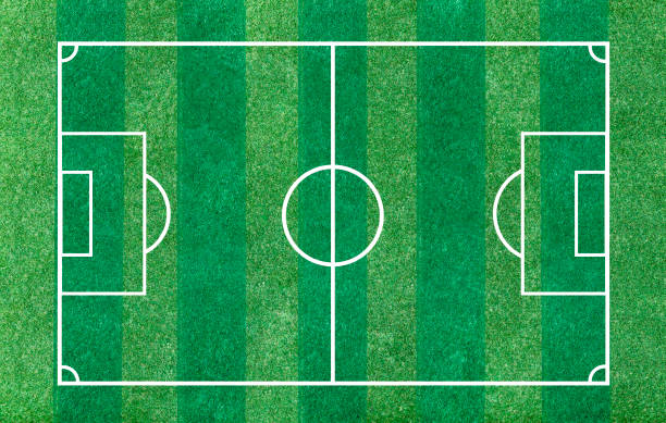 istock Greenery grass football field background, green grass texture for mapping 3D object or sport background. 831443248