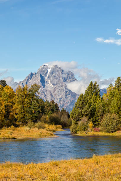 istock Autumn in the Tetons 831443798
