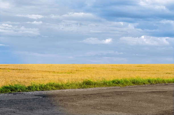 Background landscape with field and sky road
