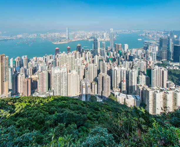 istock Hong Kong Cityscape 831449610