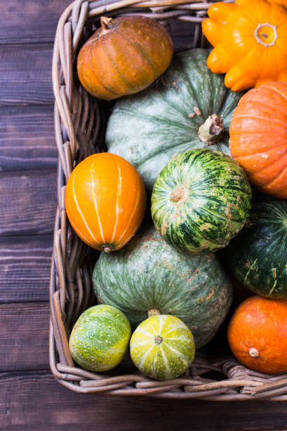 istock Varieties of pumpkins and squashes collection. 831453390