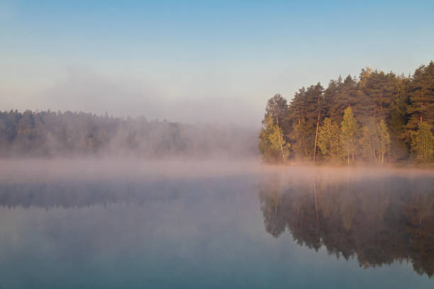 istock autumnal lake near the forest 831455830