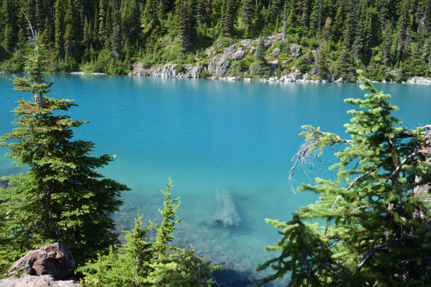 istock Garibaldi Lake turquoise water 831456864