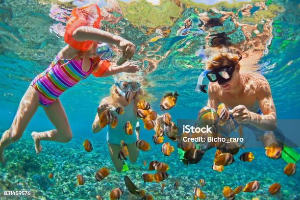 Unterwasser Foto Glückliche Familie Schnorcheln In Tropischen Meer Stockfoto und mehr Bilder von Familie
