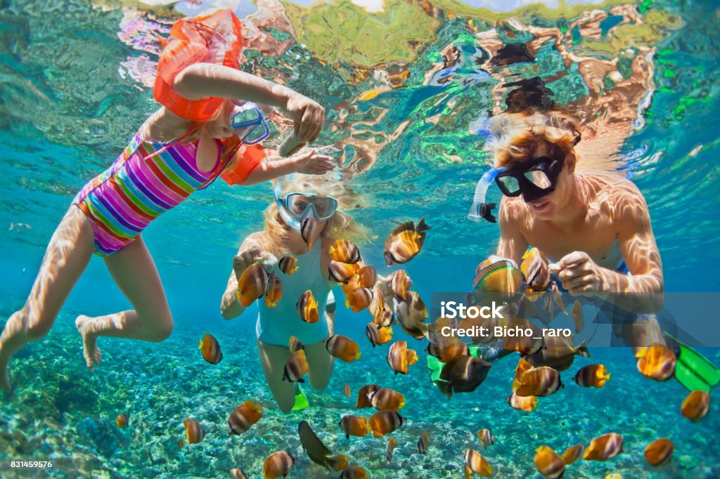 Underwater photo. Happy family snorkelling in tropical sea Happy family - father, mother, child in snorkeling mask dive underwater with tropical fishes in coral reef sea pool. Travel lifestyle, water sport adventure, swimming on summer beach holiday with kids Family Stock Photo