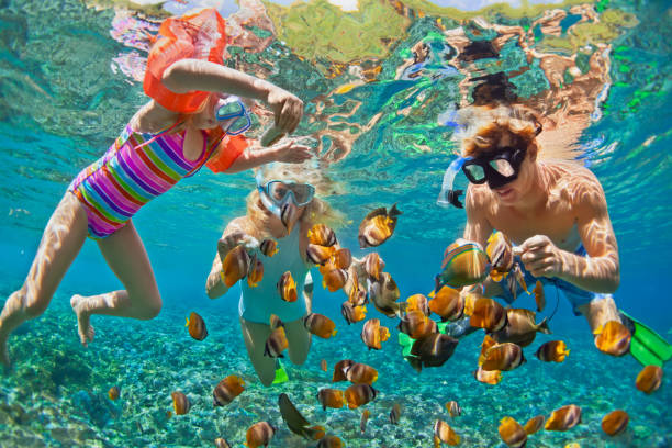 Underwater photo. Happy family snorkelling in tropical sea Happy family - father, mother, child in snorkeling mask dive underwater with tropical fishes in coral reef sea pool. Travel lifestyle, water sport adventure, swimming on summer beach holiday with kids travel destinations family stock pictures, royalty-free photos & images