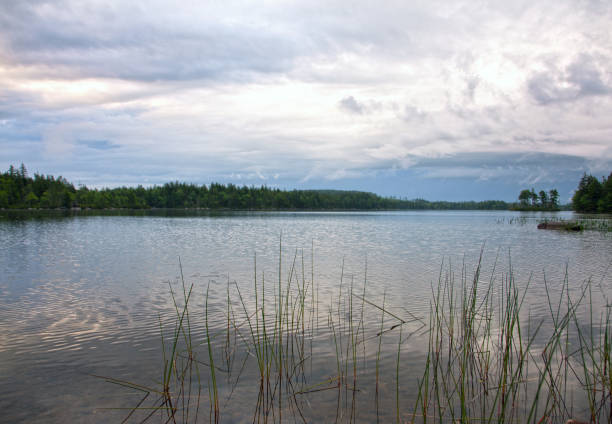 istock a clear morning on a lake 831462680