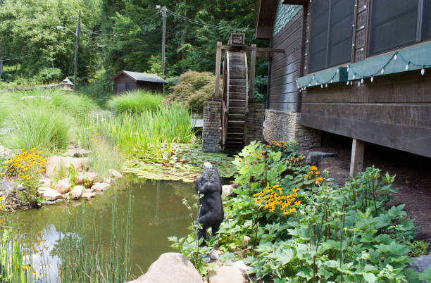 istock Pond live on after water wheel stops working 831462994