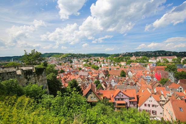 istock Tubingen, Baden-Wurttemberg, Germany 831463362