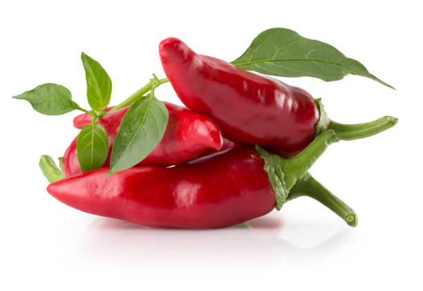 istock red chili peppers isolated on a white background 831474830