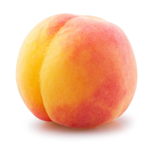 istock apricot isolated on a white background 831477638