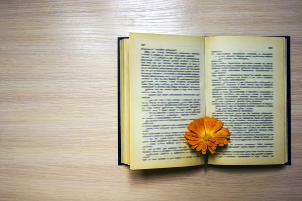 istock Open book with a bookmark - a Calendula flower on the table 831493744