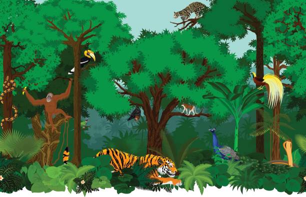 wektor azji bez szwu tropikalny las deszczowy jungle tle wzór ilustracji ze zwierzętami - wild tiger stock illustrations