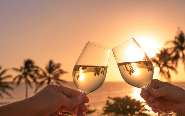 gafas de cheers con vino en un entorno de puesta del sol - honeymoon fotografías e imágenes de stock