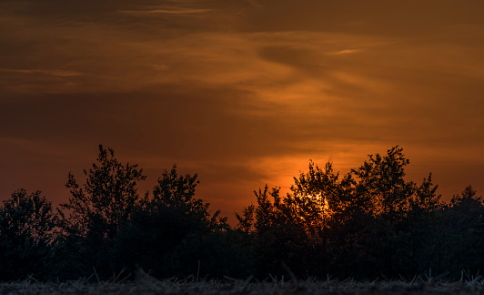 Sunset over trees near Lukov village in hot summer evening