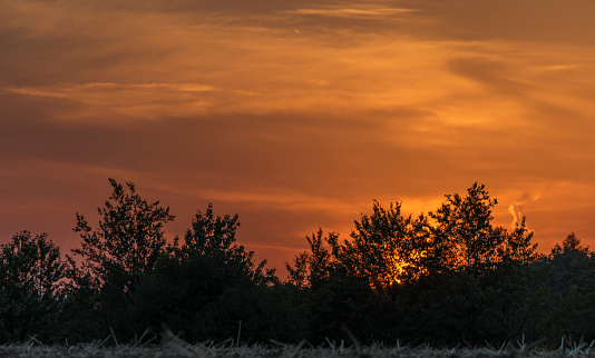 Sunset over trees near Lukov village in hot summer evening
