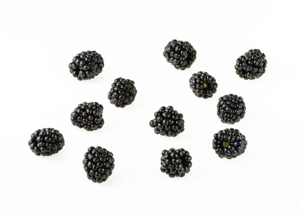 vue de dessus de fruits blackberry sur fond blanc - mûre sauvage photos et images de collection