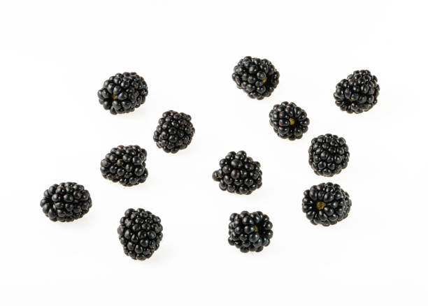 Blackberry fruit on white background top view Blackberry fruit on white background top view brambleberry stock pictures, royalty-free photos & images