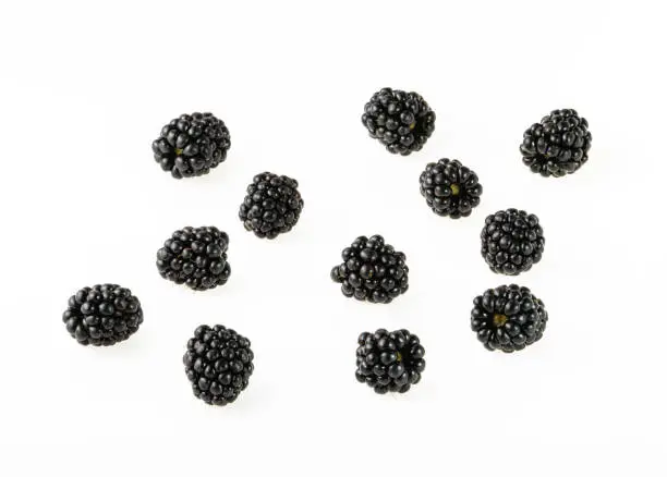 Photo of Blackberry fruit on white background top view