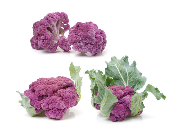 istock Purple Cauliflower  Isolated  on White Background 831511948