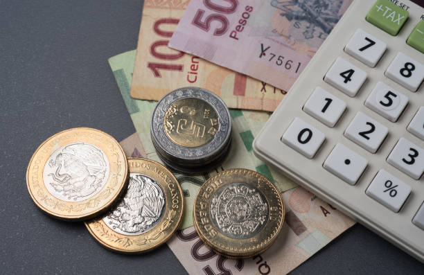 istock Mexican Peso coins and banknotes 831514296
