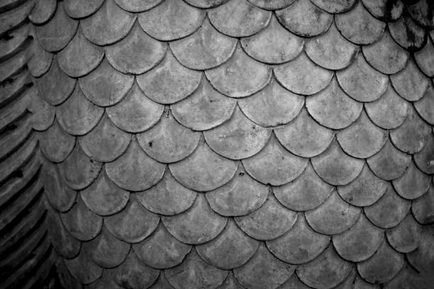 istock Grey with black and white color texture pattern abstract background can be use as wall paper screen saver brochure cover page or for presentation background also have copy space for text. 831515436