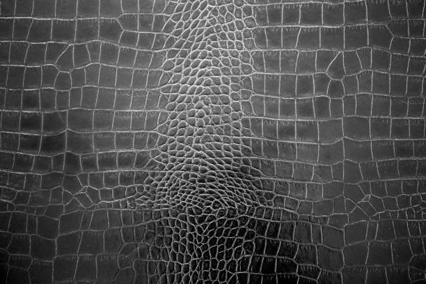 istock Grey with black and white color texture pattern abstract background can be use as wall paper screen saver brochure cover page or for presentation background also have copy space for text. 831518344