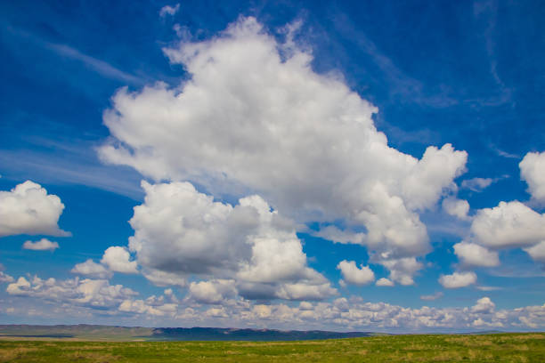 istock Steppe in spring, Kazakhstan. Amazing clouds and sky 831525182