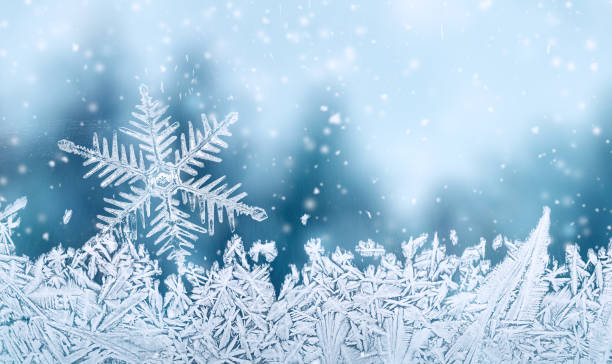 fiocco di neve e cristallo di neve - frost ice crystal winter macro foto e immagini stock