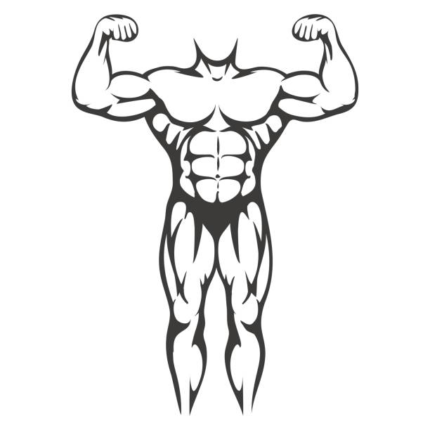 męska sylwetka mięśni ciała - muscular build chest body building sport stock illustrations