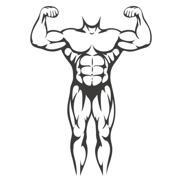 Male body muscle black silhouette Male body muscle black silhouette isolated on white background. Vector illustration biceps femoris stock illustrations