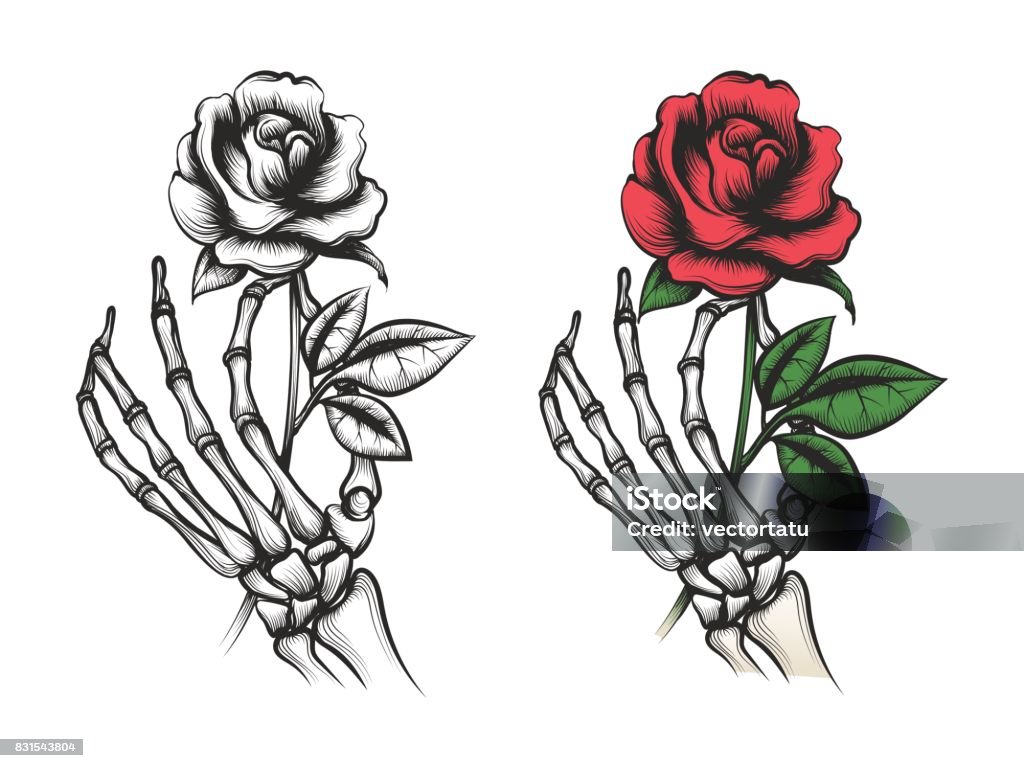 Rose flower in human skeleton hand Rose flower in human skeleton hand. Vector bright and silhouette on white background Rose - Flower stock vector