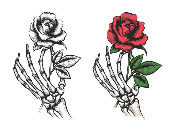 Rose flower in human skeleton hand Rose flower in human skeleton hand. Vector bright and silhouette on white background gothic art stock illustrations