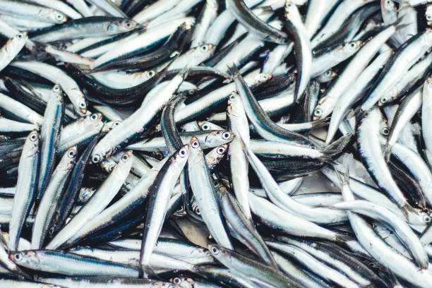 istock Fresh fish on the market 831547404