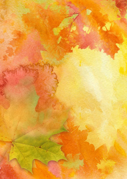 illustrazioni stock, clip art, cartoni animati e icone di tendenza di sfondo autunnale acquerello - maple tree autumn textured leaf