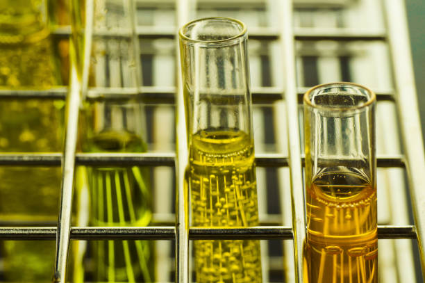 istock scientific experiments,  Laboratory equipment and  test tubes- science concept 831551072
