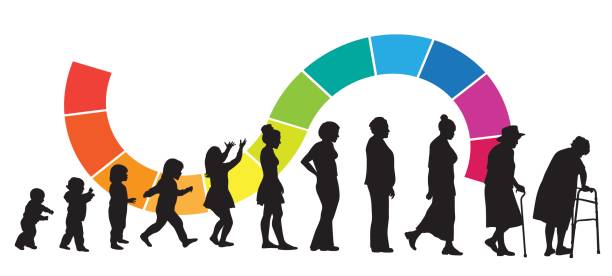 Fading Away Life A vector silhouette illustration of the aging process of a girl baby to old woman. baby clipart black and white pictures stock illustrations