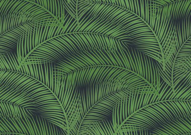 бесшовный узор с модными тропическими летними мотивами, экзотическими листьями - foliate pattern stock illustrations