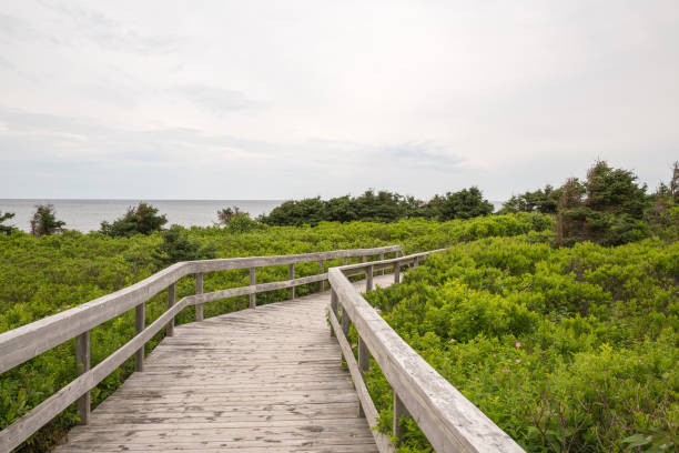 istock The boardwalk to the beach at Robinsons Island on PEI 831553862