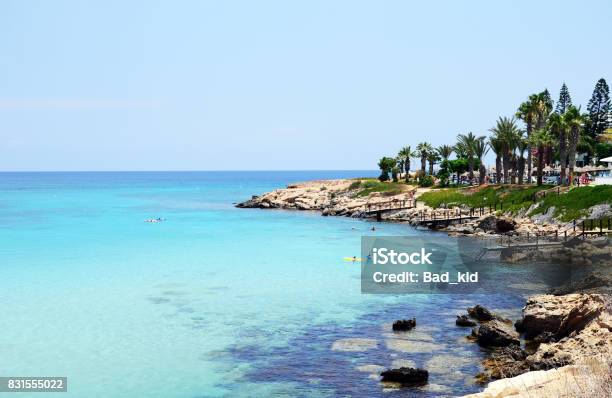 Fig Tree Bay Beach Protaras Cyprus Stock Photo - Download Image Now - Fig Tree, Bay of Water, Beach