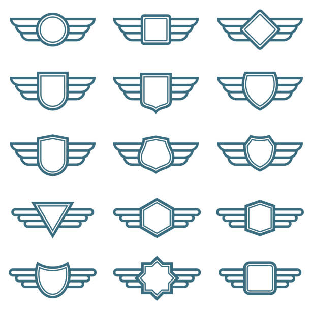독수리 날개 육군 벡터 배지. 항공 날개 레이블입니다. 날개 달린된 파일럿 엠 블 럼 - symbol military star eagle stock illustrations