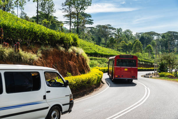 istock Traveling in Sri Lanka 831566826