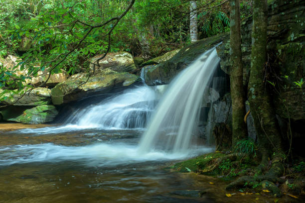 istock Waterfall in rainforest at National Park, Thailand 831570314