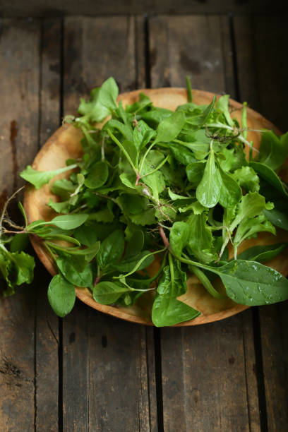 istock Fresh organic greens, food closeup 831574410