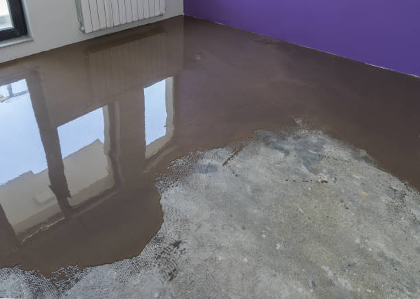 istock Application of self leveling screed over cement floor. Apartment under construction 831575082