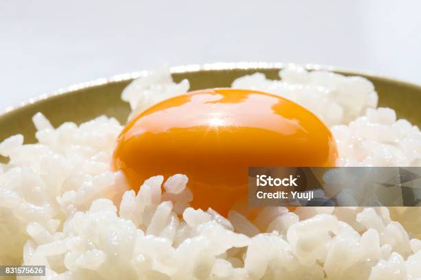 Japanisches Essen Reis Und Eiern Stockfoto und mehr Bilder von Ei - Ei, Essgeschirr, Fotografie